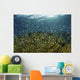 Blue-green Damselfish Schooling Wall Decal