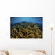 Snorkeler Swims above Coral Wall Decal