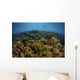 Snorkeler Swims above Coral Wall Decal