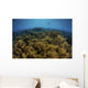 Snorkeler Swims above Coral Wall Decal