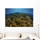 Snorkeler Swims above Coral Wall Decal