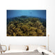 Snorkeler Swims above Coral Wall Decal