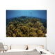 Snorkeler Swims above Coral Wall Decal