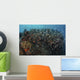 Beautiful Coral Reef Full Wall Decal