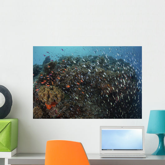 Beautiful Coral Reef Full Wall Decal