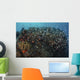 Beautiful Coral Reef Full Wall Decal