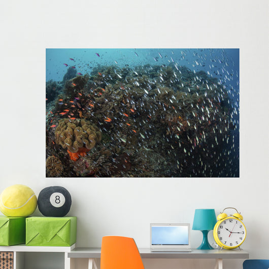Beautiful Coral Reef Full Wall Decal