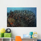 Beautiful Coral Reef Full Wall Decal