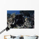 Black Giant Frogfish Waits Wall Decal