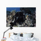 Black Giant Frogfish Waits Wall Decal