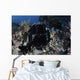 Black Giant Frogfish Waits Wall Decal