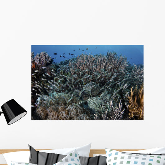 School Striped Eel Catfish Dispersing Wall Decal