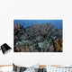 School Striped Eel Catfish Dispersing Wall Decal