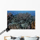 School Striped Eel Catfish Dispersing Wall Decal