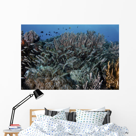 School Striped Eel Catfish Dispersing Wall Decal
