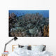 School Striped Eel Catfish Dispersing Wall Decal