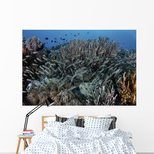 School Striped Eel Catfish Dispersing Wall Decal