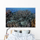 School Striped Eel Catfish Dispersing Wall Decal