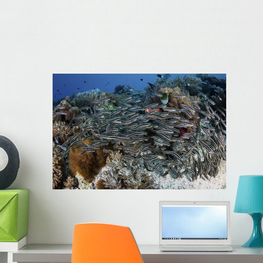 School Striped Eel Catfish Swimming Down Wall Decal