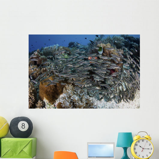 School Striped Eel Catfish Swimming Down Wall Decal