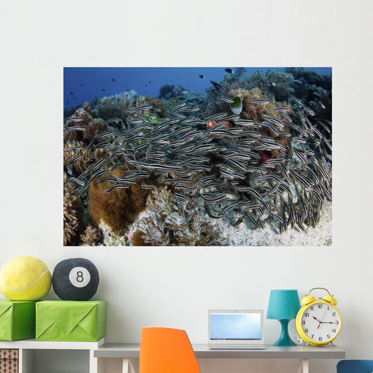 School Striped Eel Catfish Swimming Down Wall Decal
