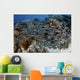 School Striped Eel Catfish Swimming Down Wall Decal
