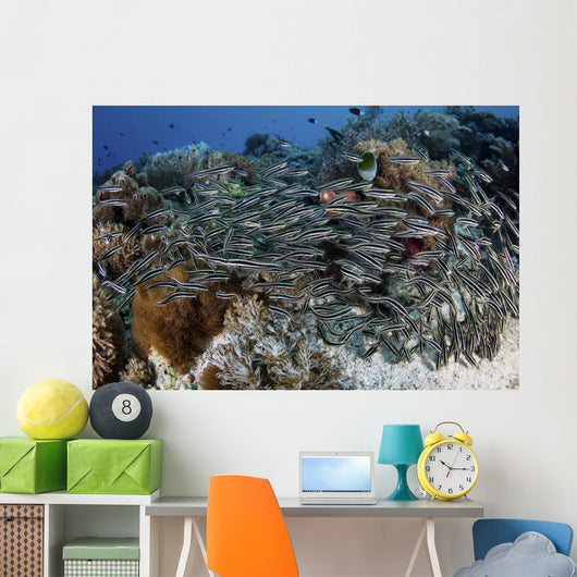 School Striped Eel Catfish Swimming Down Wall Decal
