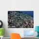 School Striped Eel Catfish Close-up Wall Decal