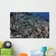 School Striped Eel Catfish Close-up Wall Decal