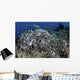 School Striped Eel Catfish Wall Decal