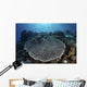 Beautiful and Healthy Coral Wall Decal