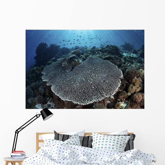 Beautiful and Healthy Coral Wall Decal