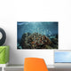 Colorful Reef Fish Swim Wall Decal