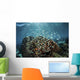 Colorful Reef Fish Swim Wall Decal