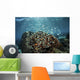 Colorful Reef Fish Swim Wall Decal