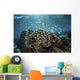 Colorful Reef Fish Swim Wall Decal