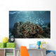 Colorful Reef Fish Swim Wall Decal