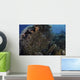School Golden Sweepers above Wall Decal