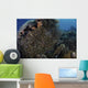 School Golden Sweepers above Wall Decal