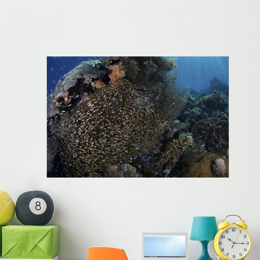 School Golden Sweepers above Wall Decal