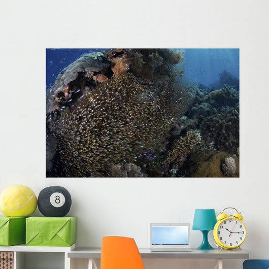 School Golden Sweepers above Wall Decal
