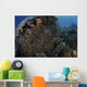School Golden Sweepers above Wall Decal