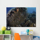 School Golden Sweepers above Wall Decal