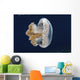 White-spotted Jellyfish Drifts Strong Dark Wall Decal