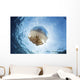White-spotted Jellyfish Drifts Strong near Surface Wall Decal