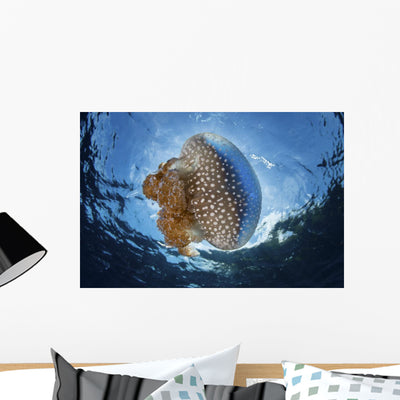 White-spotted Jellyfish Drifts Strong Wall Decal shown on a wall