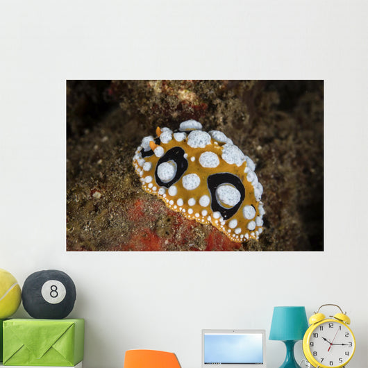 Beautiful Nudibranch Crawls Sandy Wall Decal