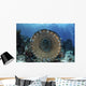 Traditional Fish Trap Made Wall Decal