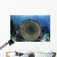 Traditional Fish Trap Made Wall Decal