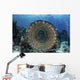 Traditional Fish Trap Made Wall Decal